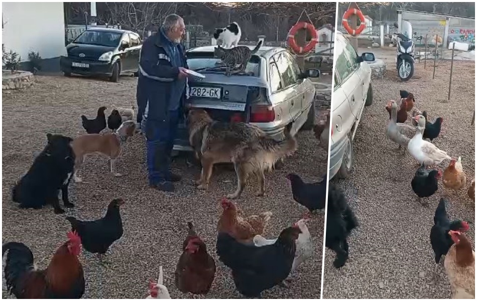 Kada Omer stigne, ranč oživi: Doček životinja pun ljubavi