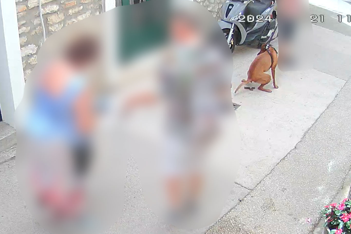 Nepoštivanje komunalnog reda: Turist ostavio pasji izmet na ulici