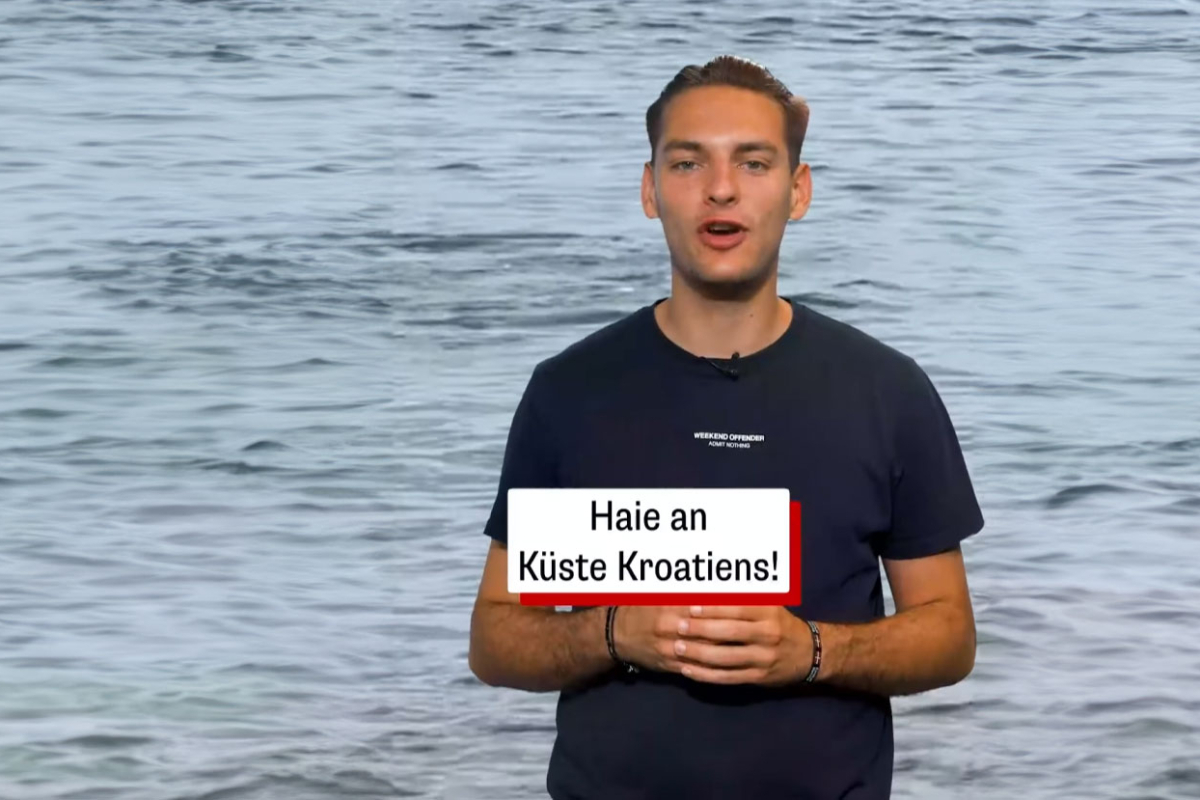 Posljedice neprovjerenih informacija: Kako je „morski pas“ iz u Vodica završio na najvećem i najpopularnijem austrijskom online portalu