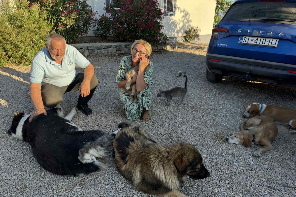 Pas Stella pronašao ljubav i sigurnost kod Ivane Mehić