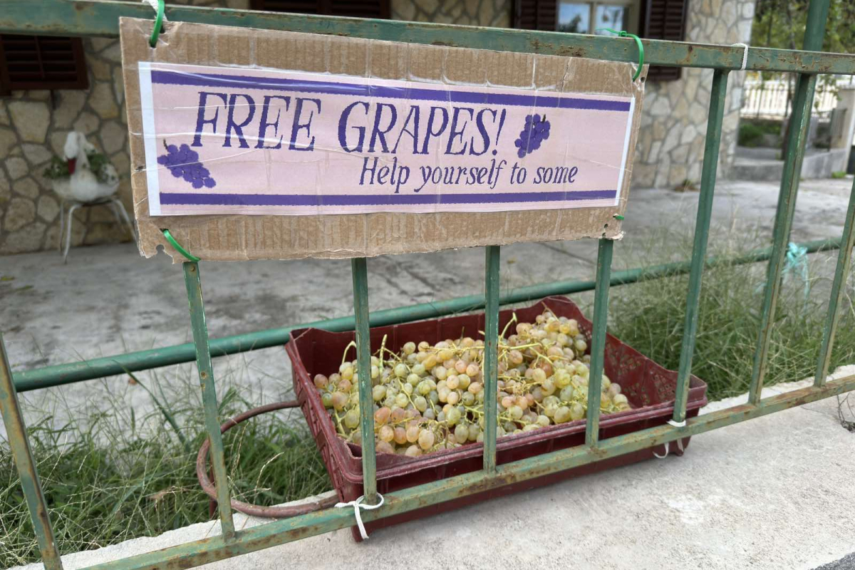 Oduševljeni turisti: besplatno grožđe i ukusne žižule uz put prema hotelu