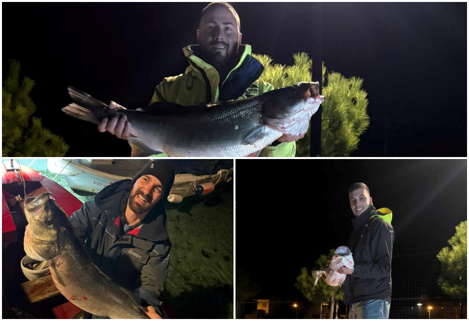 Trojka sa Srime ulovila kapitalnog brancina – težak čak 8 kg!