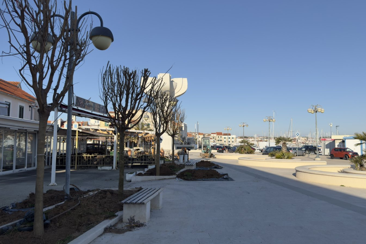 Vodička riva dobiva novu hortikulturnu vizuru: Palme se zamjenjuju murvama za više hlada