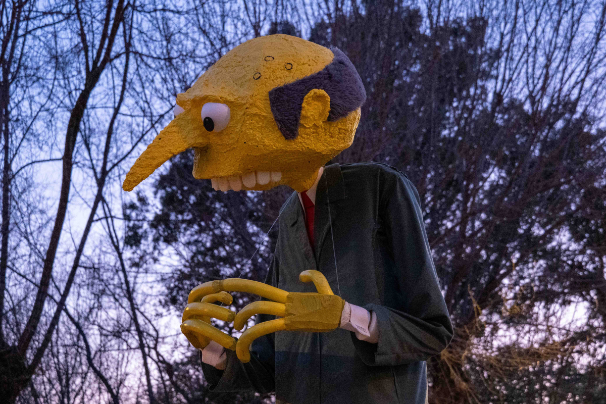 Pokladne svečanosti završile spaljivanjem Jovana Gulikože (2)