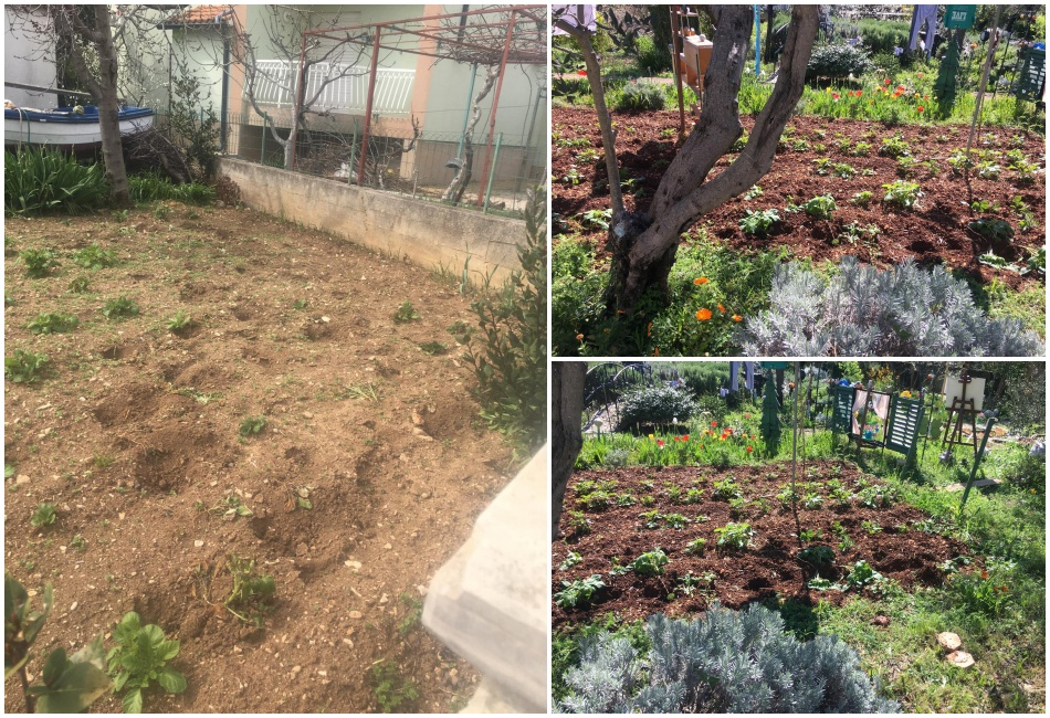 Nepoznati počinitelji prave štetu po vrtovima u Srimi: „Bojimo se da nam ne uđu u kuće“