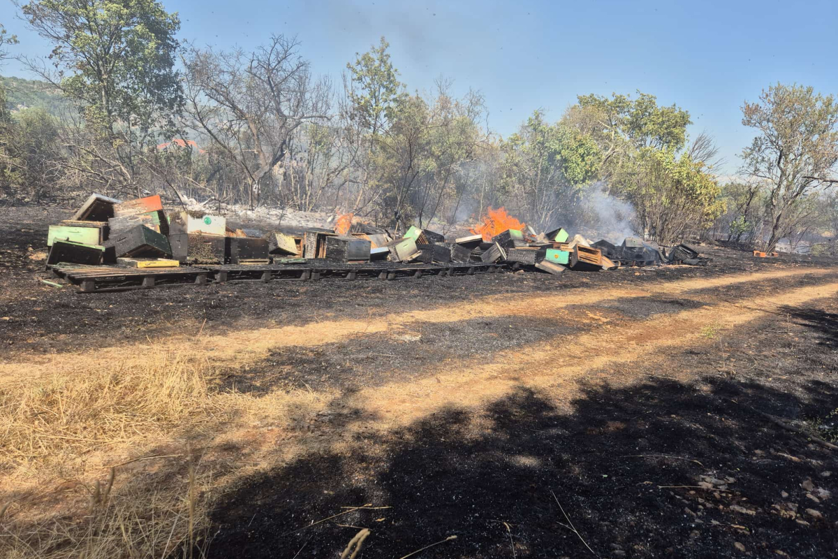 Drugi požar u tri godine: pčelaru Anti Bulatu izgorjele 34 košnice