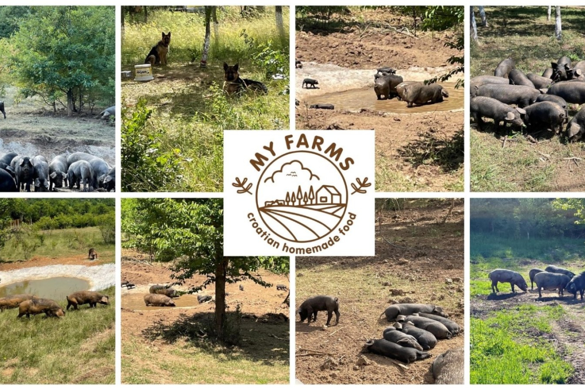 Danas na farmi, sutra na vašem tanjuru - uz dostavu za Srimu, Vodice i Tribunj