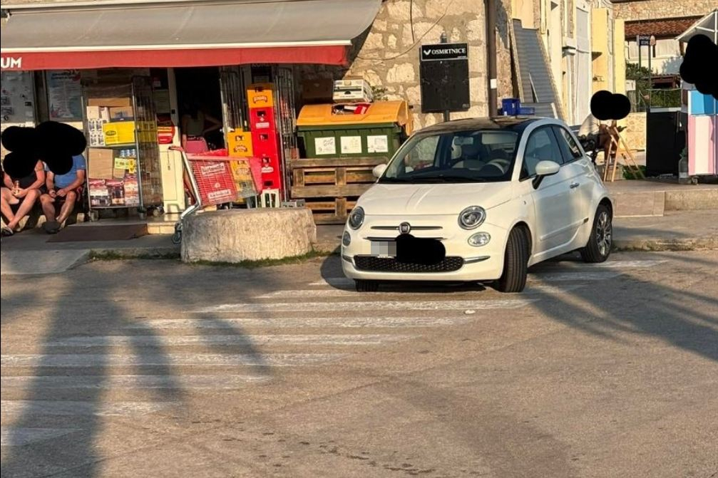 Zebra na Srimi dobila ‘stalnog stanara’