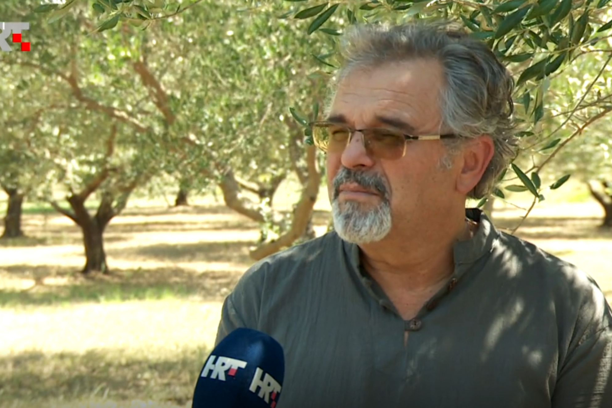 Katastrofalna sezona za maslinare: očekuje se skok cijena ulja