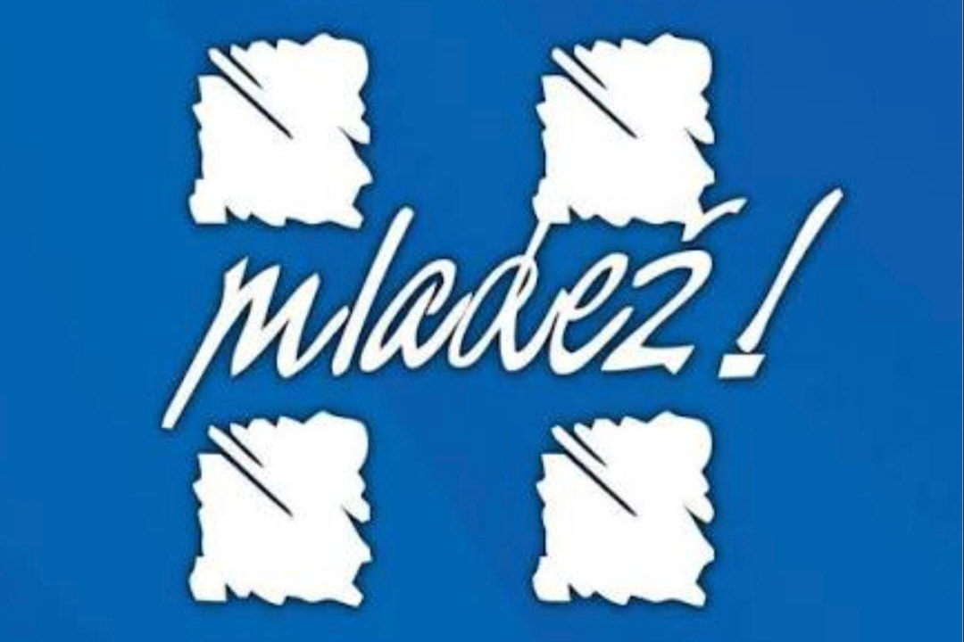 Tomislav Bilać novoizabrani je predsjednik Mladeži HDZ-a Grada Vodica