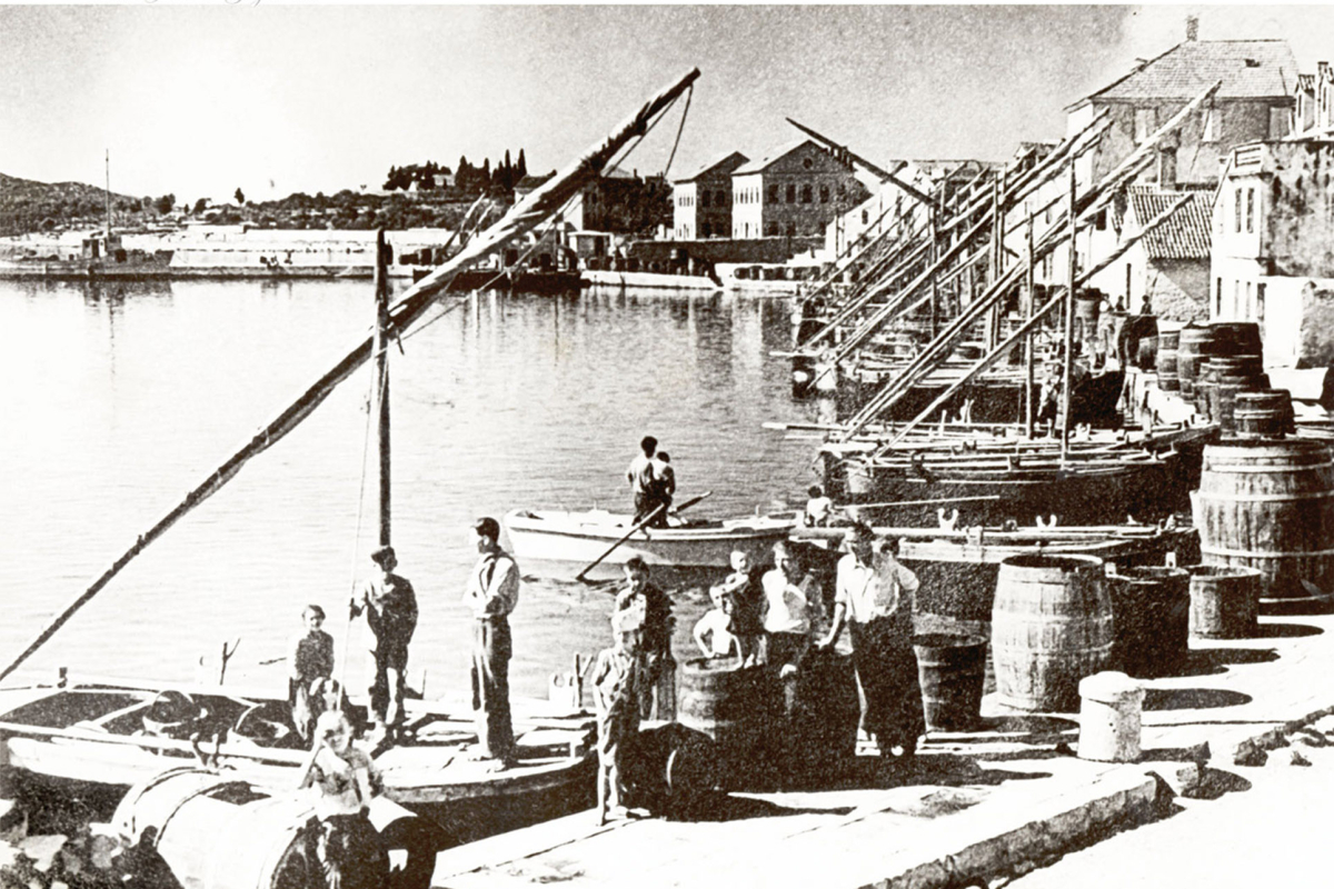 Reakcija UABA-e Vodice na povijesni članak o Gušti Šprljanu