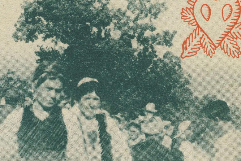 Klen na Okitu – priča o neobičnom božićnom fenomenu iz stare novinske građe