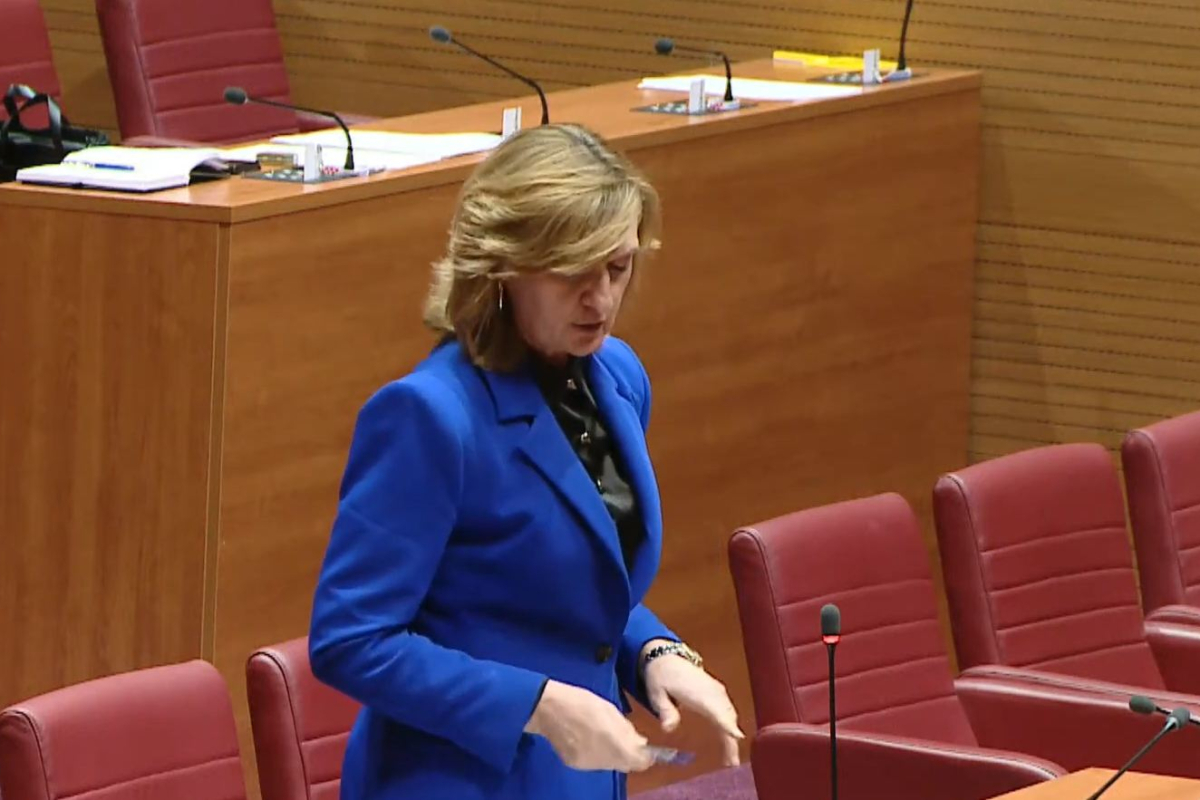 Branka Juričev-Martinčev o Zakonu o otocima: Država daje okvir, ali lokalna samouprava mora nositi razvoj