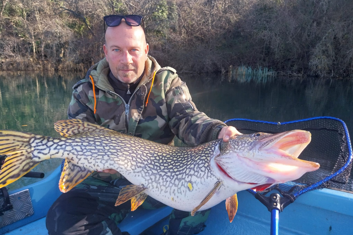Kako invazivnu ribu pretvoriti u deliciju? Alen Krnić otkrio u emisiji Kolure o bisera