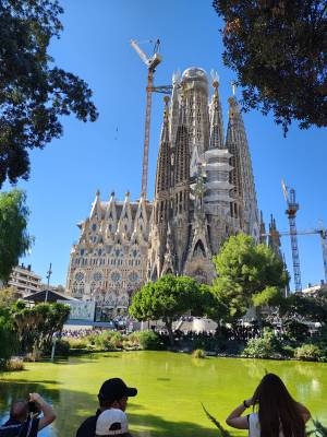 IMG-20241028-WA0021_original