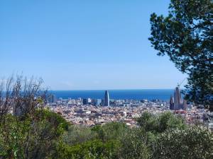 IMG-20241028-WA0023_original