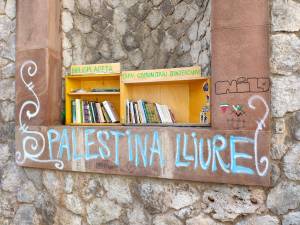 IMG-20241028-WA0024_original