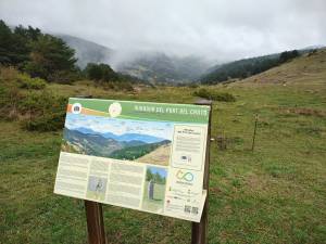 IMG-20241028-WA0070_original