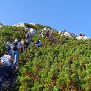 WhatsApp Slika 2024-01-13 u 11.26.29_c6ea76f0