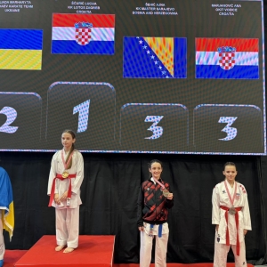 grand prix croatia 8