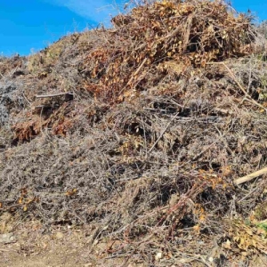 viber-slika-2023-04-20-11-32-42-439