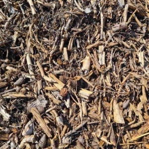 viber-slika-2023-04-20-11-32-42-880