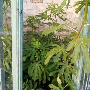 WhatsApp Slika 2024-03-06 u 15.22.24_1c1153f4