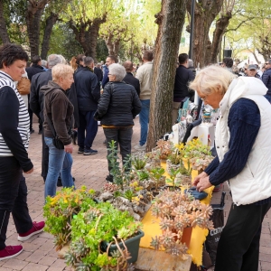 uskrsni_dorucak (3 of 33)