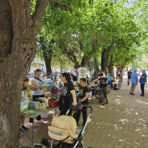 441951575_943201710933331_743623591392105084_n