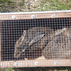 WhatsApp Slika 2024-06-17 u 15.57.20_55b30154