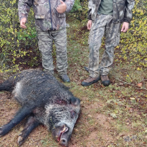 WhatsApp Slika 2024-06-17 u 15.57.21_cc7074db