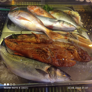 WhatsApp Slika 2024-06-23 u 09.51.05_89a23b7e