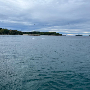 WhatsApp Slika 2024-09-17 u 13.20.10_6ba6e40d