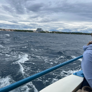 WhatsApp Slika 2024-09-17 u 13.21.07_b1808bad