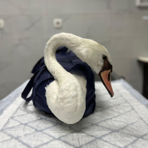 WhatsApp Slika 2024-09-18 u 17.47.10_90153b81