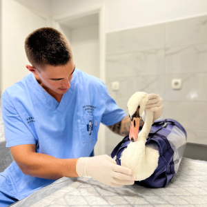 WhatsApp Slika 2024-09-18 u 17.47.30_e4876d19