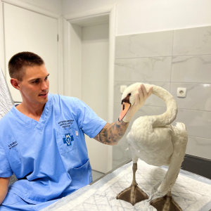 WhatsApp Slika 2024-09-18 u 17.47.30_f32dc26c