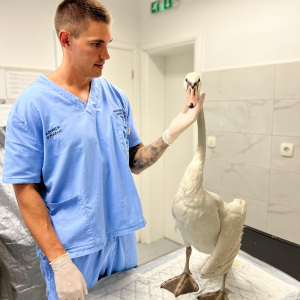 WhatsApp Slika 2024-09-18 u 17.47.36_4d25dc6b