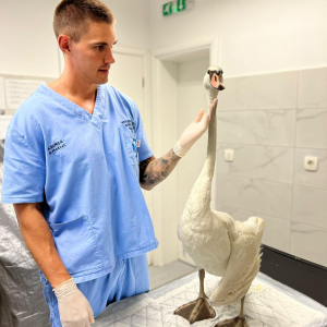 WhatsApp Slika 2024-09-18 u 17.47.36_bf523712