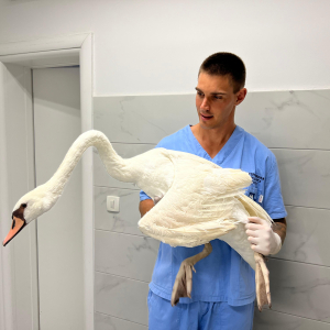 WhatsApp Slika 2024-09-18 u 17.47.36_e85e2886