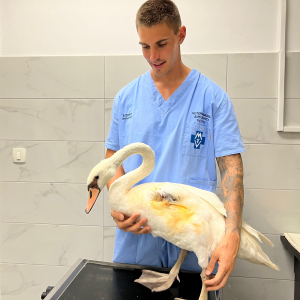 WhatsApp Slika 2024-09-18 u 17.47.37_3e914abb