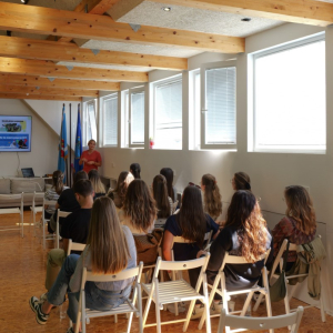 11b2c8c8-6b16-4337-bd3e-d42d7c02c594