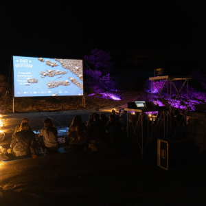 6520afc7-ccc2-4f53-bd43-759c303673c3