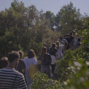 ae3398c2-68ac-4afd-888e-65e085c3792c