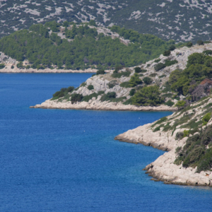 eda7d455-1ab7-4cc2-a3f1-ca2caa354dd7