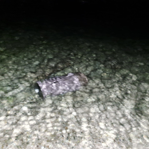 WhatsApp Slika 2024-10-06 u 20.14.30_4982ed95