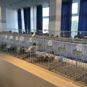 viber_slika_2024-12-14_13-46-55-813