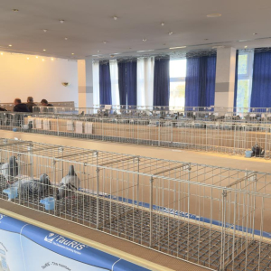 viber_slika_2024-12-14_13-46-55-936