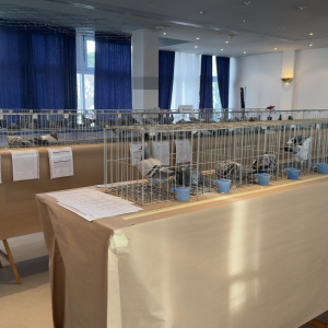 viber_slika_2024-12-14_13-46-56-584