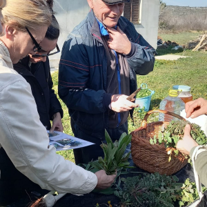 WhatsApp Slika 2025-02-21 u 19.13.22_15cea583